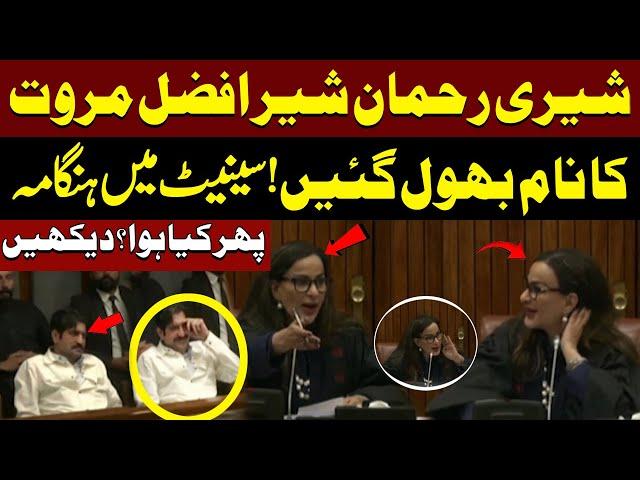 Must Watch | Sherry Rehman Senate Ijlas Me Sher Afzal Marwat Ka Naam Bhool Gayen | Pakistan News