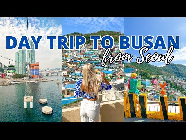 Travel Vlog: Day Trip to Busan from Seoul, South Korea