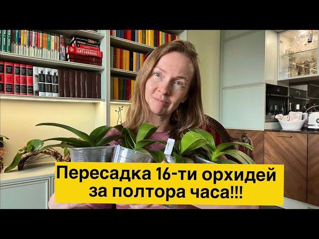 Дана Протасова в прямом эфире: пересажаем всех!!!🫣