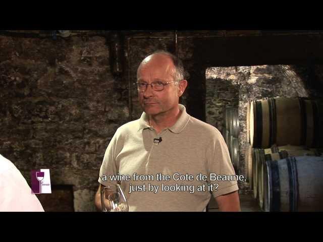 Understanding Burgundy Chablis Grand Crus with Bernard Raveneau