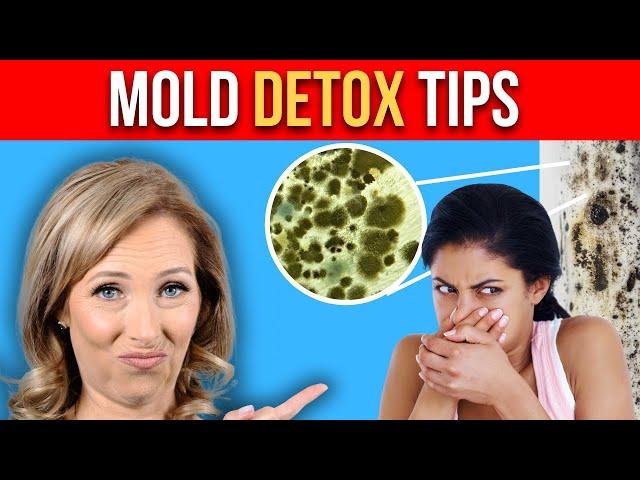 Mold Detox: 9 Tips You NEED to Know | Dr. Janine