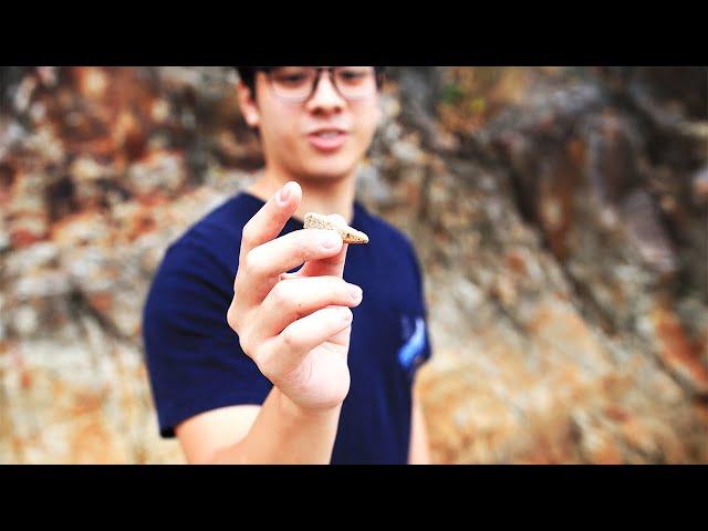 生活入面你又會冒幾多風險？ | Alvin Vlog #01