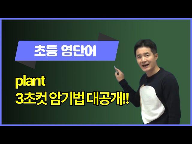 plant, 이렇게 외우면 3초 컷! 