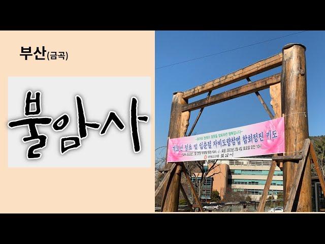 부산 금곡동 불암산 자락 카페 분위기 아담한 절집 불암사 사찰기행