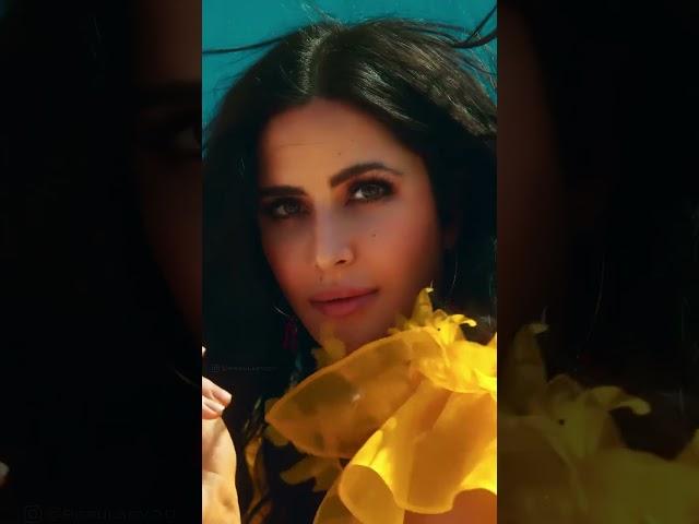 Udta firta Dil Ka Parinda #daily #video
