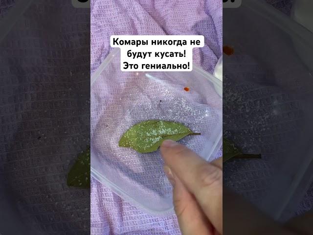 Комары никогда не будут кусать! Это гениально! #комары #лайфхак #огород #сад #дача #рыбалка #лес