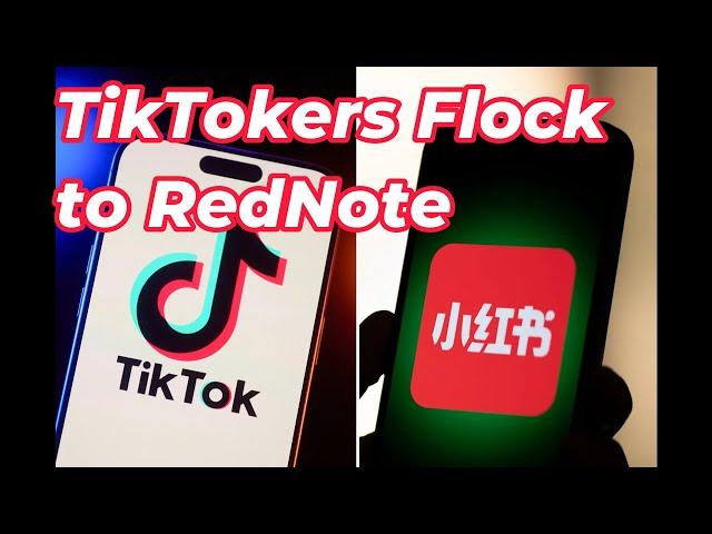 American TikTok Refugees Joining Chinese Social Media App REDnote