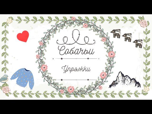 Собачьи упряжки