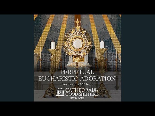 Perpetual (24/7) Eucharistic Adoration Prayer Mission