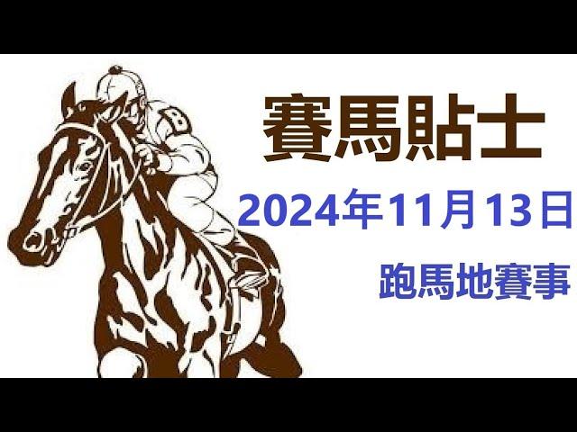 賽馬貼士 跑馬地賽事 (2024年11月13日)