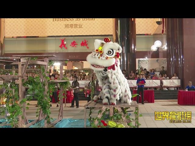 义旺龙狮体育会 Yi Wang Dragon & Lion Dance Association