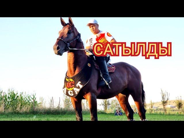 ЧЫКТЫ САТЫЛДЫ