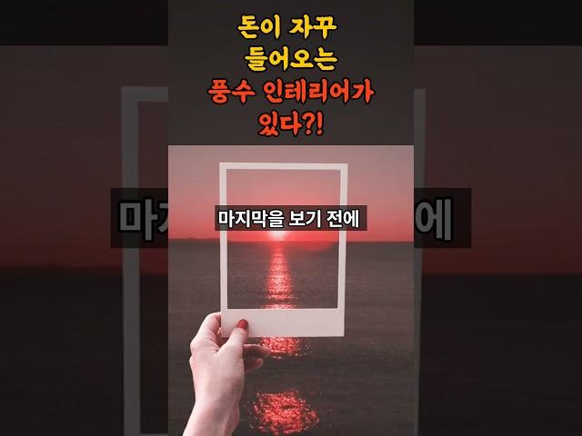 돈이 자꾸 들어오는 풍수 인테리어가 있다?!  #띠별운세 #운세 #풍수