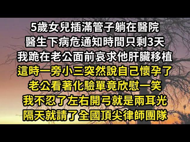 5歲女兒插滿管子躺在醫院，醫生下病危通知時間只剩3天，我跪在老公面前哀求他肝臟移植，這時一旁小三突然說自己懷孕了，老公看著化驗單竟欣慰一笑，我不忍了左右開弓就是兩耳光，隔天就請了全國頂尖律師團隊#翠花