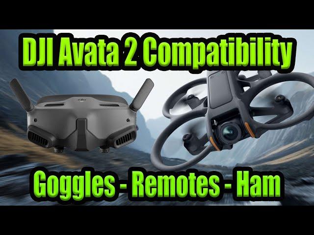DJI Avata 2 FPV Goggles & Remote Compatibility Explained - Goggles 2 - FPV Remote 2 -  Ham Hack