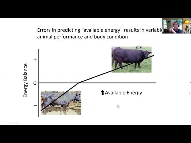 ROWLI - Feedstuffs and Impact on Nutrient Metabolism