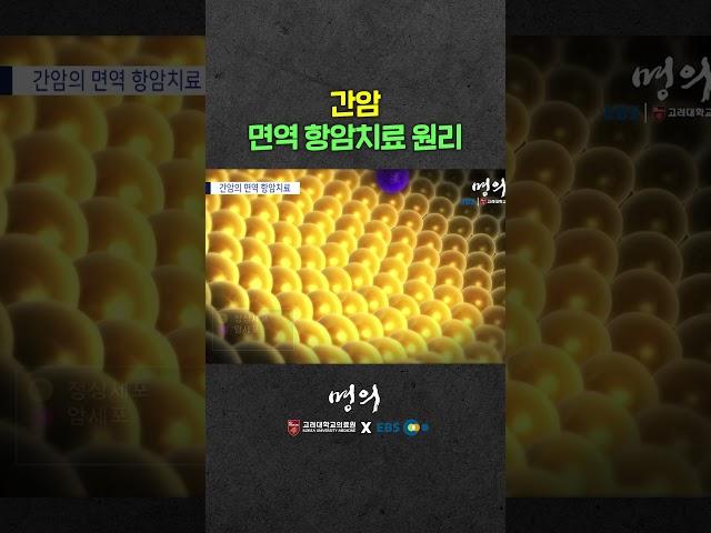 면역세포는 어떻게 암세포를 잡아먹을까?