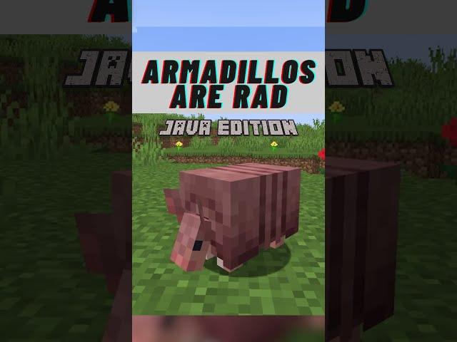 Minecraft Armadillo Secrets Tutorial [Minecraft 1.21+] #shorts