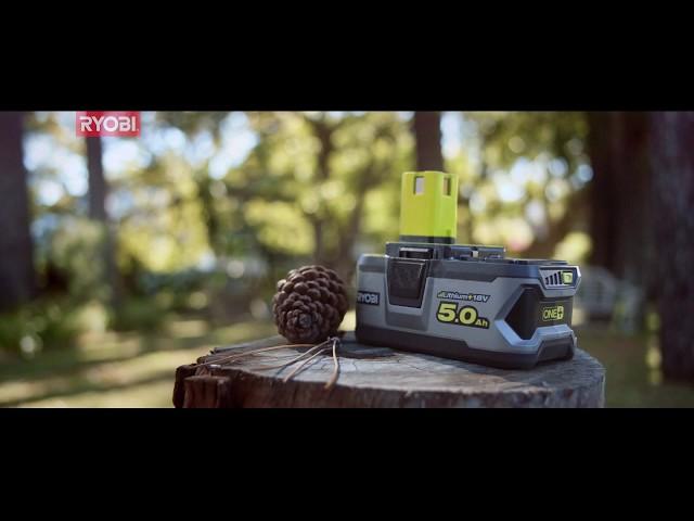 Ryobi France vous accompagne dans votre Grand Nettoyage d'Automne avec ONE+ !