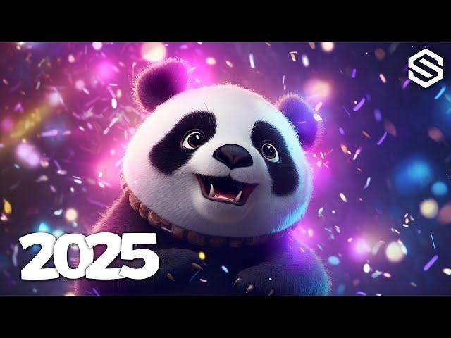 Music Mix 2025  EDM Mixes Of Popular Songs  EDM Bass Boosted Music Mix #002