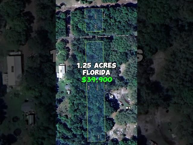 1.25 acres for sale in Florida for $39,900. #fyp #realestate #property #forsale #land