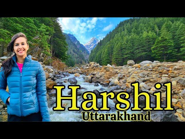 Most Beautiful Valley of Uttarakhand I Harshil Valley I Gartang Gali I Nelong Valley 2024 I