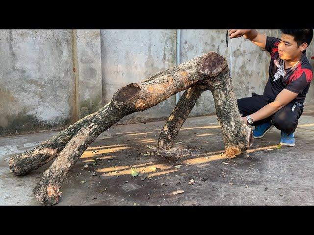 Let's See How This Genius Boy Turns These Discarded Tree Stumps Into Masterpieces !