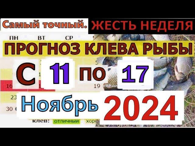 Прогноз клева рыбы на Эту неделю с 11 по 17 ноября 2024 Лунный Календарь рыбака Лунный прогноз клева