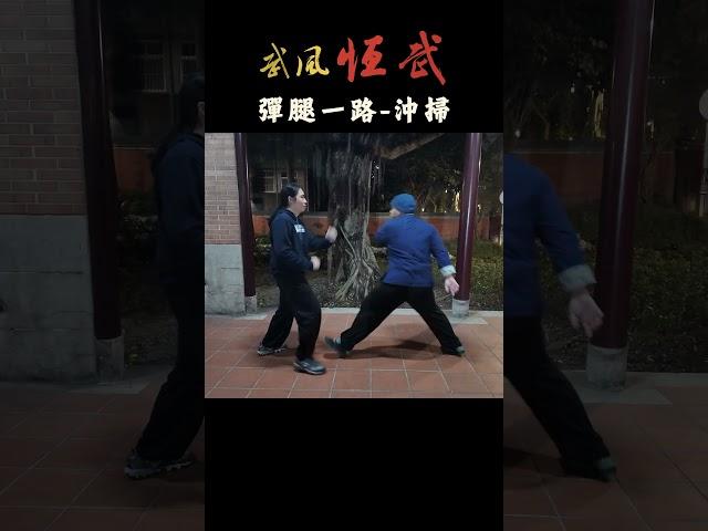 十路彈腿-一路沖掃對拆打法 #baji   #kungfu #武術 #martialarts #功夫  #bajiquan #八極拳  #wushu #彈腿 #對練