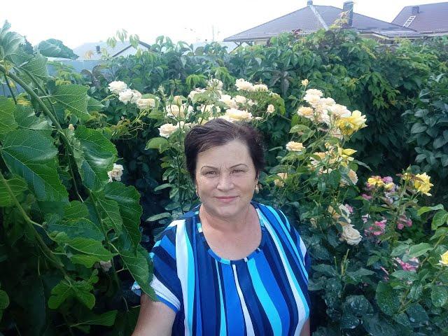 Часть 1.Приехала к детям на юг!