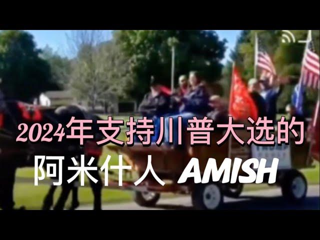 【为什么2024年神秘阿米什人支持川普？】Why do the mysterious Amish support Trump in 2024?