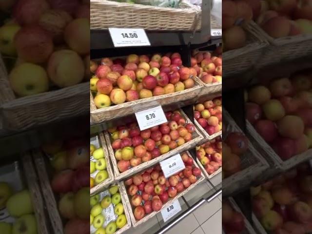 صادرات انواع میوه و تره بار به دبی