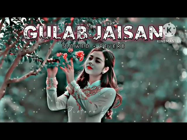 Gulab Jaesan Khilal Badu Neelkamal Singh | Slowed and Reverb Song | Bhojpuri Lofi song |  #trending