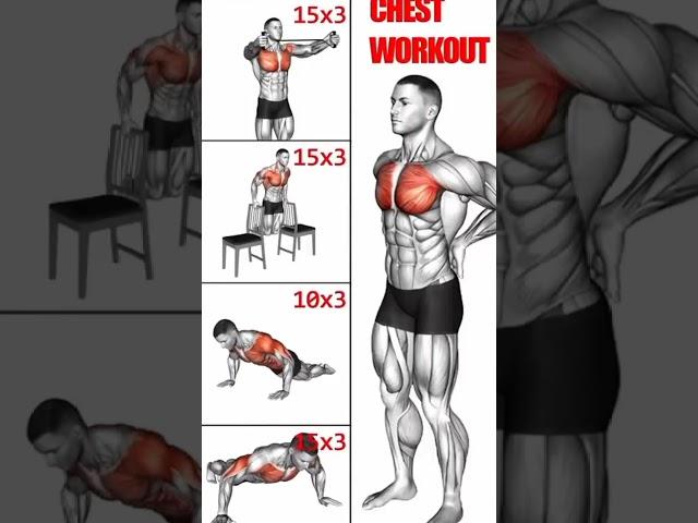 chest workout exercise best #fitness #power #helth #increase