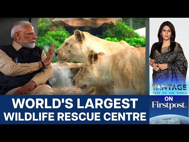 PM Narendra Modi Inaugurates Vantara Wildlife Rescue Centre | Vantage with Palki Sharma | N18L