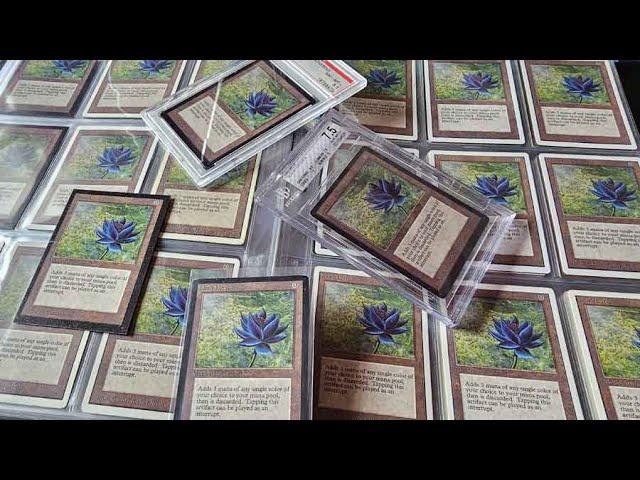 The Black Lotus - The Most Counterfeited Card