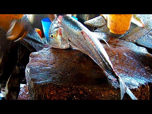 Giant Trevally Fish Cutting | Fish Cutting Skills | Made In Sri Lanka