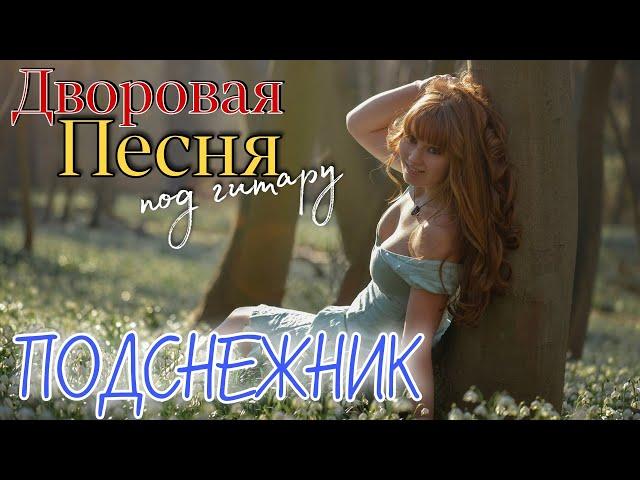 ПОДСНЕЖНИК / дворовая песня под гитару