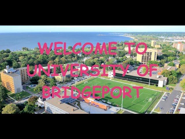 Belvie's Adventure - Welcome to University of Bridgeport