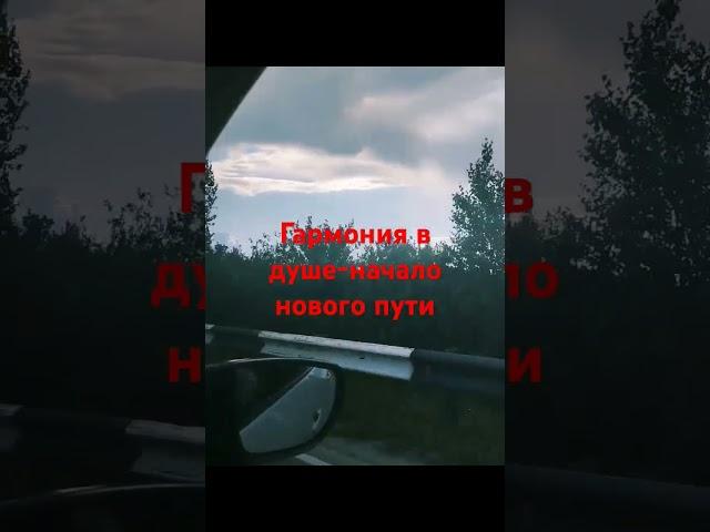 6 мая 2024 г.