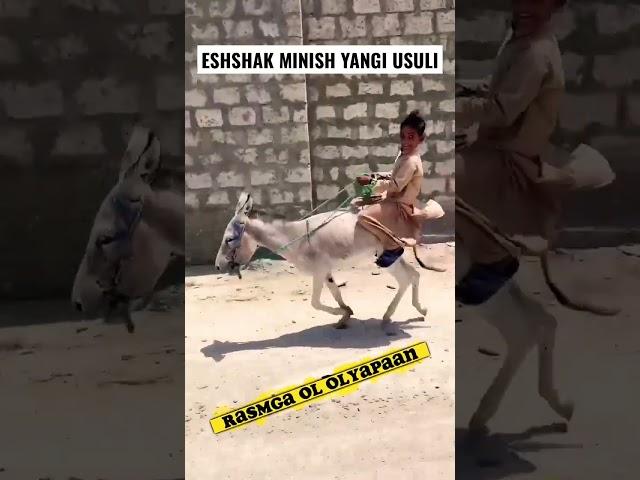 ESHSHAK MINISHNI YANGI USLUBI. kulguli videolar