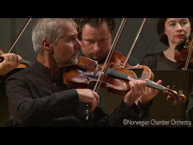 Béla Bartók - Romanian Folk Dances for String Orchestra Sz.56 BB 68