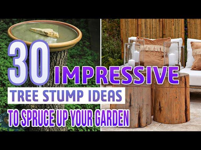 30 Impressive Tree Stump Ideas To Spruce Up Your Garden