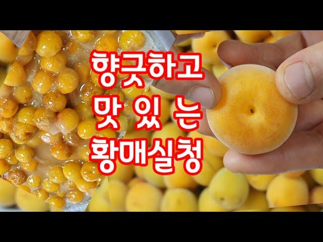 잘익은 황매실로 황매실 청 담아 보세요~ 정말 맛있는 쥬스가 됩니다.#황매실청 #매실청