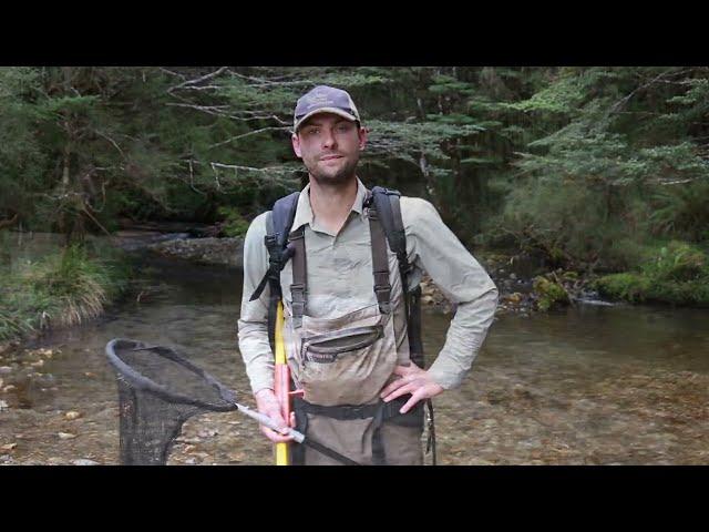 Amped scientists up to their knees in river research