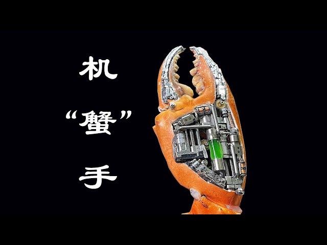 用螃蟹钳子做一只机“蟹”手｜Robotic Arm, Future Version｜易知朱YiZhizhu｜DIY