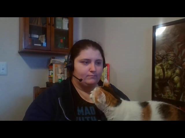 Teleworking with Cats