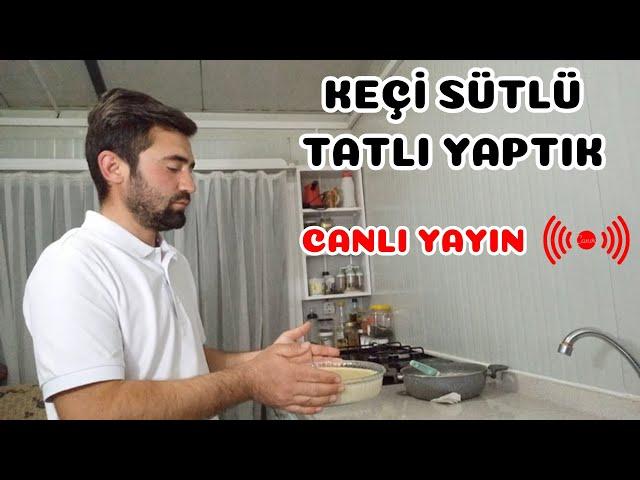 ÇOBAN EVİ KEÇİ SOHBETİ | CANLI YAYIN #3 | KEÇİ SÜTLÜ TATLI YAPIYORUZ