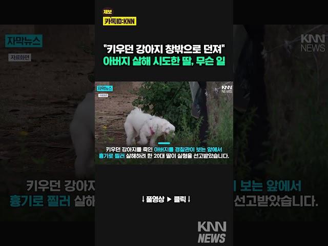반려견 죽였다고…경찰 앞에서 아버지 찌른 딸 / KNN