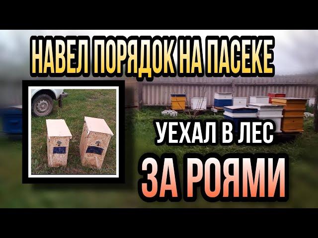 Навел порядок на пасеке и поехал ловить бродячие рои